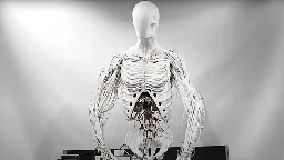 Clone Robotics zeigt biomimetischen humanoiden Roboter-Torso