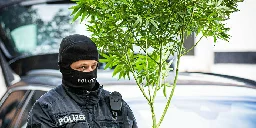 Justiz prüft Cannabis-Strafen: Die Strengsten müssen ackern